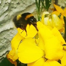 13230122_10209425474014542_6078804175486066750_n