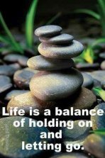 35486538_10216502419613759_8411020067063463936_n